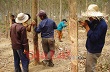 Công ty TNHH một thành viên Cao su Chư Prông: Vượt khó để sản xuất kinh doanh hiệu quả